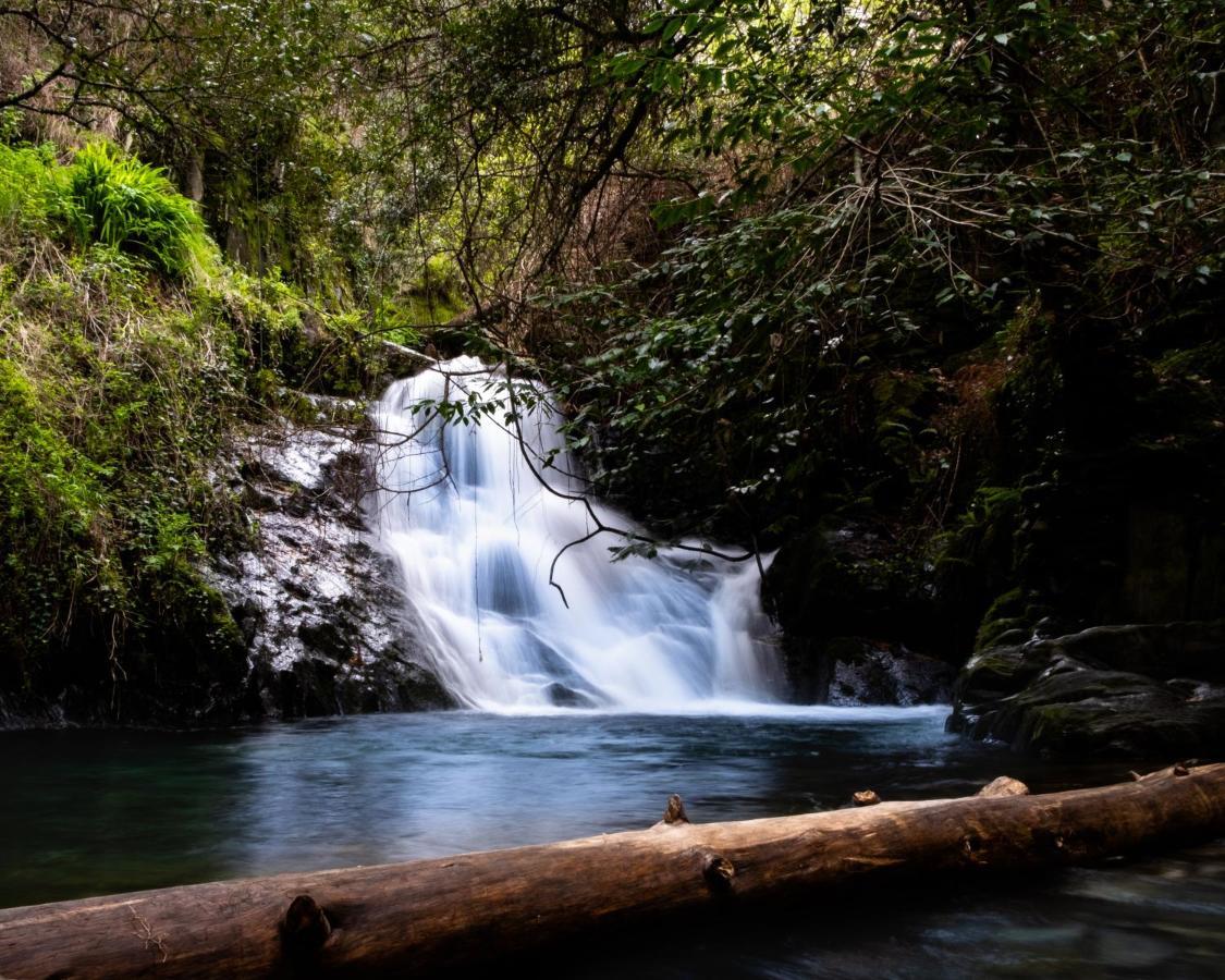Refugio D'Aldeia Da Serra Сейя Екстериор снимка